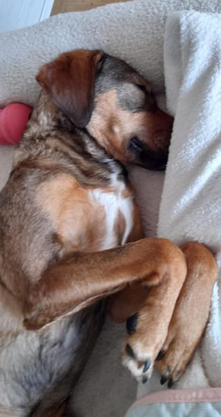 Lola auf PS in Bayern