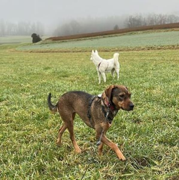 Lola auf PS in Bayern