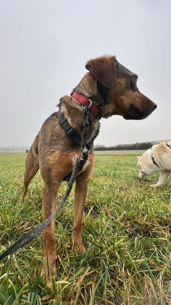 Lola auf PS in Bayern