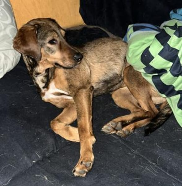 Lola auf PS in Bayern