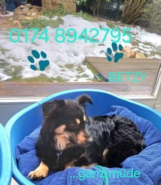 Betty hofft auf liebevolles Zuhause