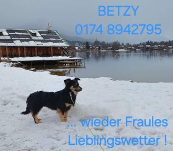 Betty hofft auf liebevolles Zuhause