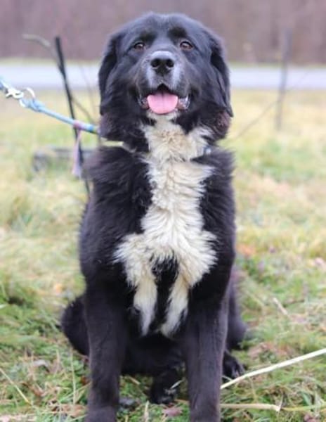 Amy ein richtiger Teddybär