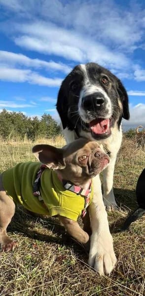 Linda, großartig und großherzig