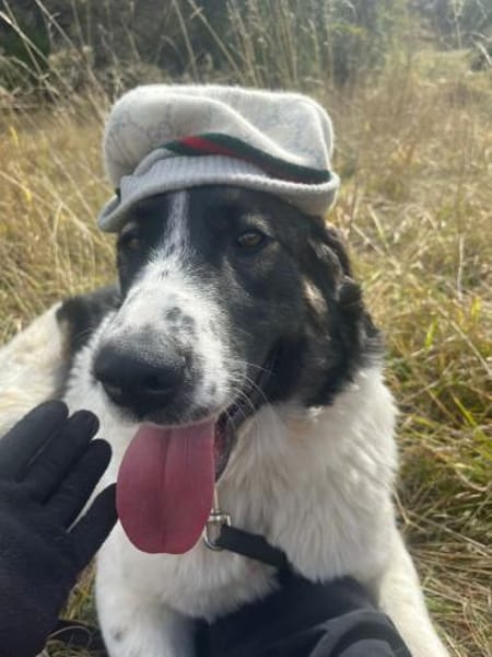 Linda, großartig und großherzig