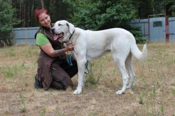 Nona, su. Familie mit Haus/ Hof