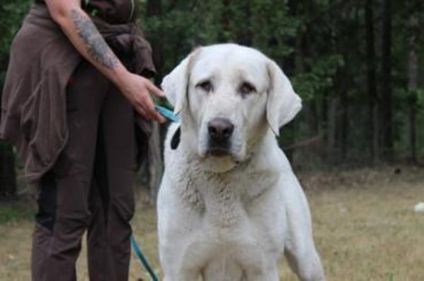 Nona, su. Familie mit Haus/ Hof
