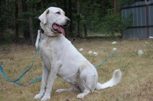 Nona, su. Familie mit Haus/ Hof