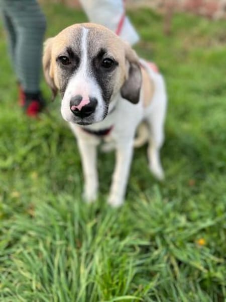 Jolie,  ausgeglichen und freundlich