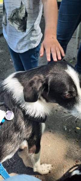 Gustav sucht sein Traum-Zuhause!