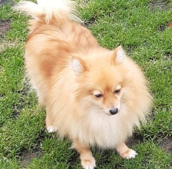 Kessy in 27478 Cuxhaven #