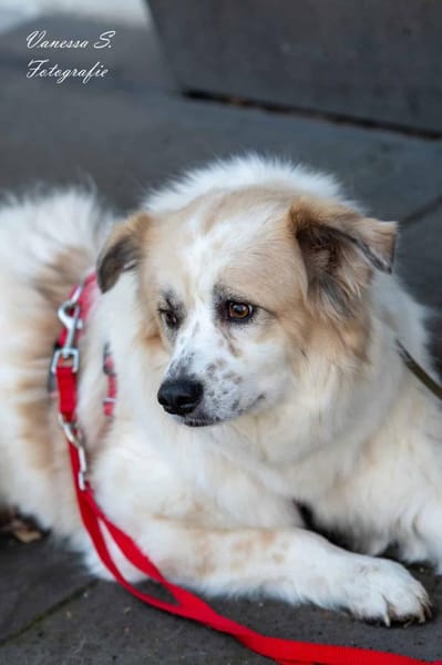 Lille - ein Sonnenschein