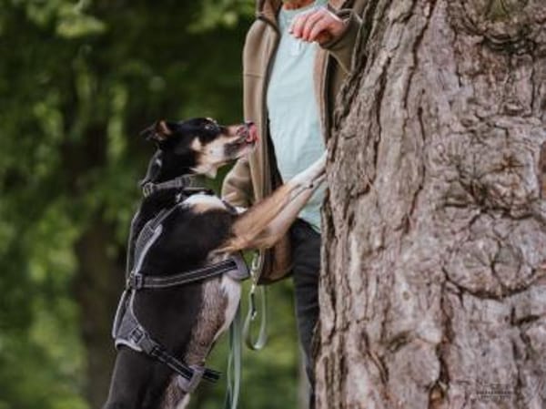 Mina - die hübsche Abenteurerin