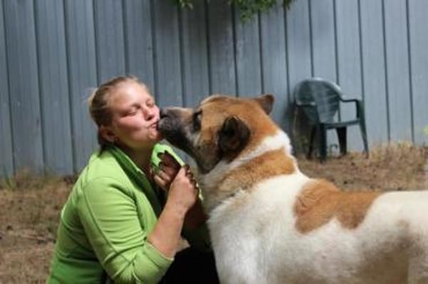 Hatschi, großer Kuschelbär