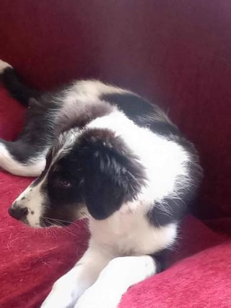 Patty - voller Hoffnung!