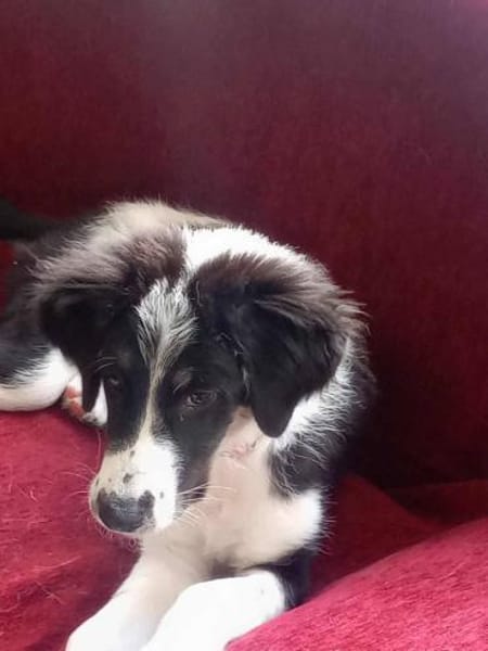 Patty - voller Hoffnung!