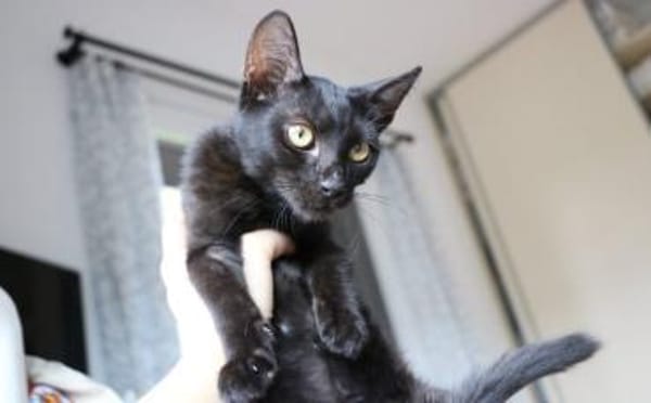 Nashi ist berei für ein neues Leben