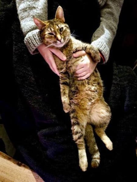 MINA - temperamentvolle Kuschelqueen