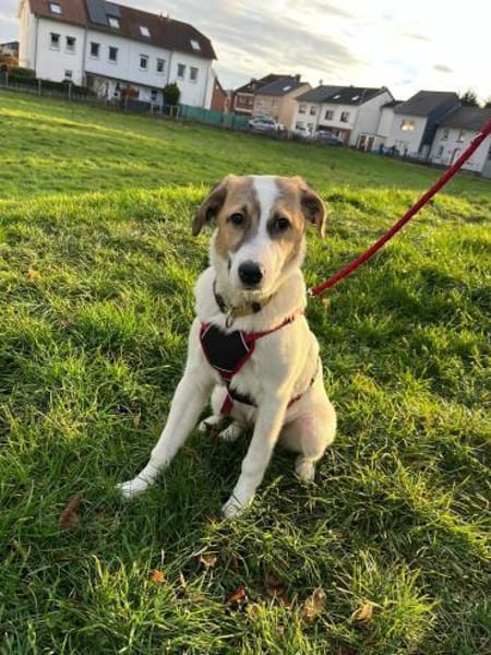 Enna, selbstbewusst und lebhaft