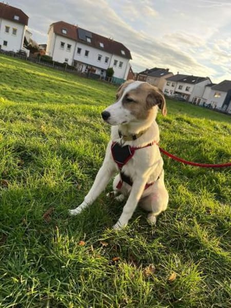 Enna, selbstbewusst und lebhaft