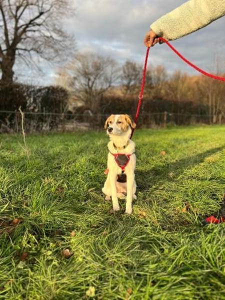 Enna, selbstbewusst und lebhaft