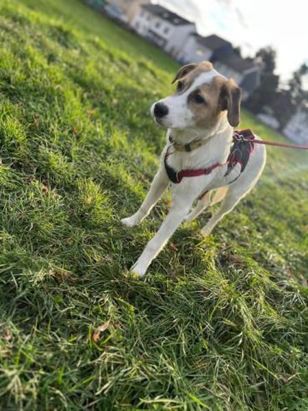 Enna, selbstbewusst und lebhaft