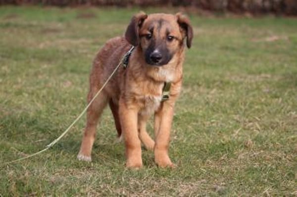 Lindro unser kleiner Charmeur