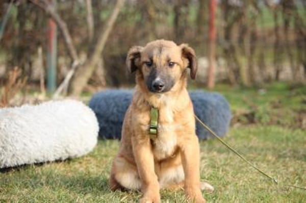 Lindro unser kleiner Charmeur