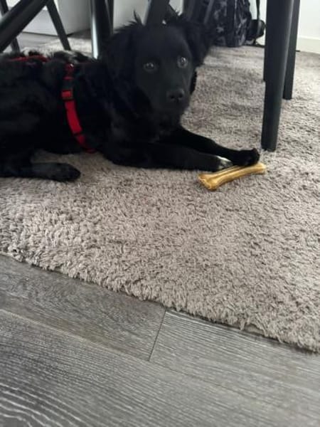 NiNA ❤ wartet in Finnentrop