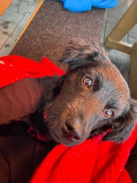 NiNA ❤ wartet in Finnentrop