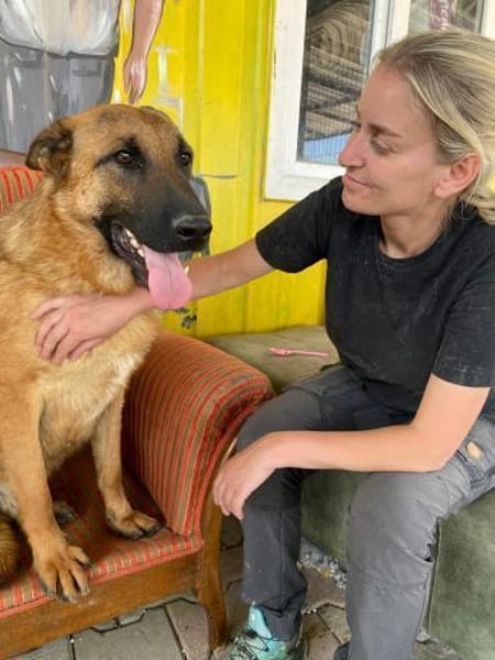 Lucky sucht eine Pflegestelle / Zuhause