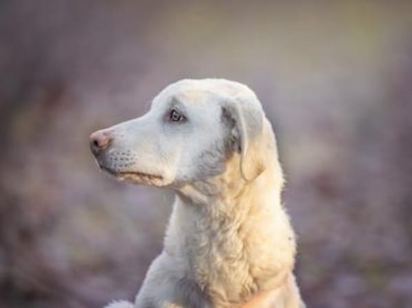 Dalia sucht engen Familienanschluss