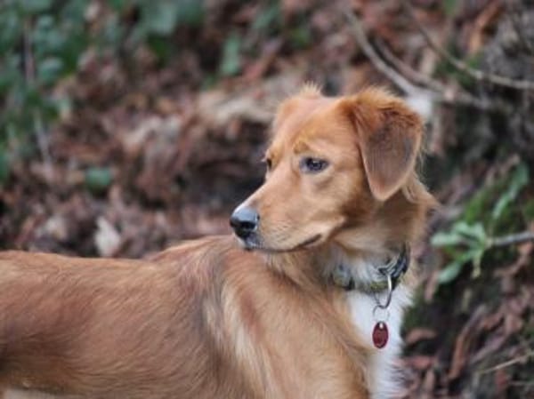 Mali sucht aktive Menschen