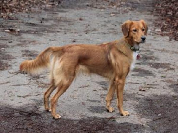 Mali sucht aktive Menschen