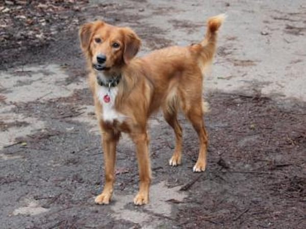 Mali sucht aktive Menschen