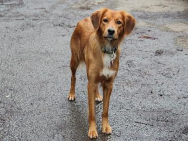 Mali sucht aktive Menschen