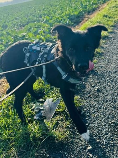 ABBY - (liebevoll, jung)