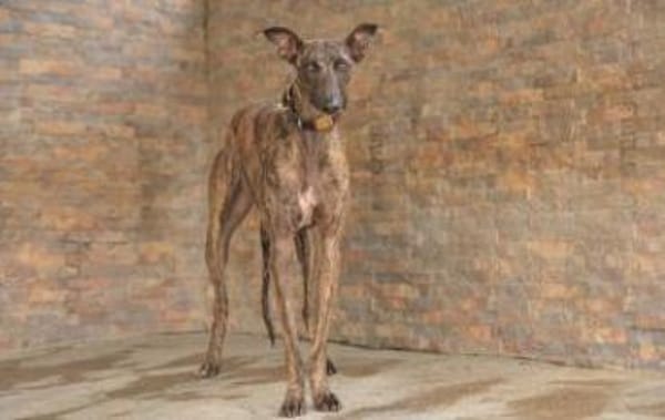 Nani wartet hier auf dich❤