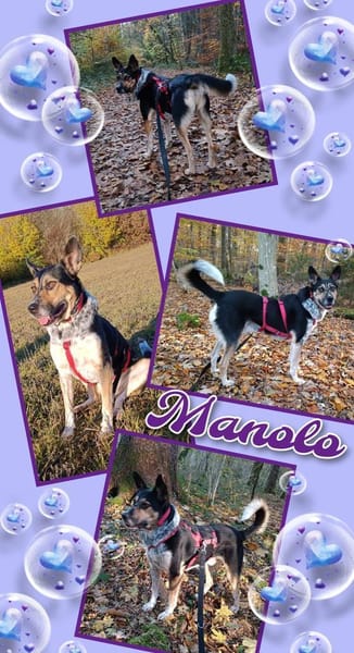 Manolo wartet in München!