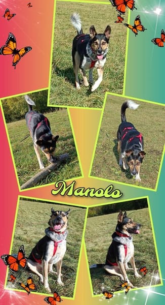 Manolo wartet in München!