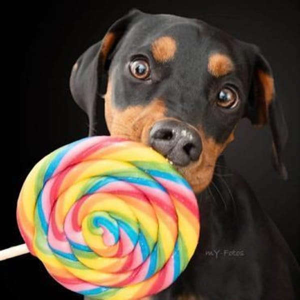 Zora - ist freundlich&offen zu Kindern