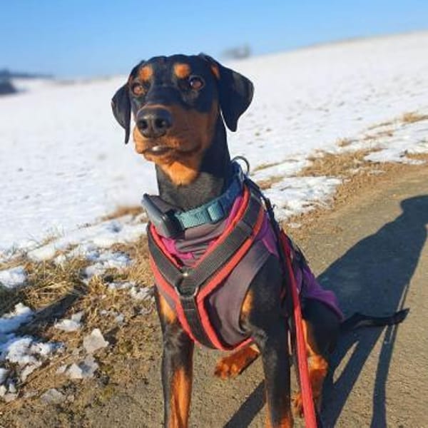 Zora - ist freundlich&offen zu Kindern