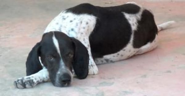 Max 12 -freundlich, teilw.noch unsicher-