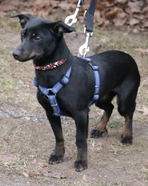 Lilo ist ein kleiner Sonnenschein