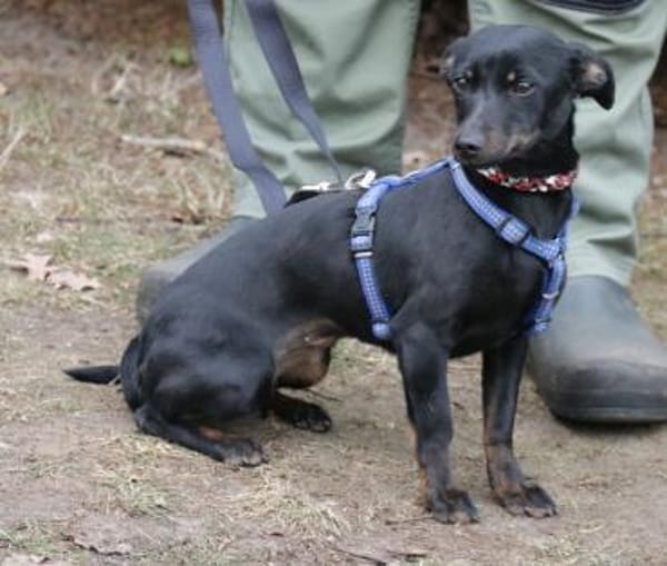 Lilo ist ein kleiner Sonnenschein