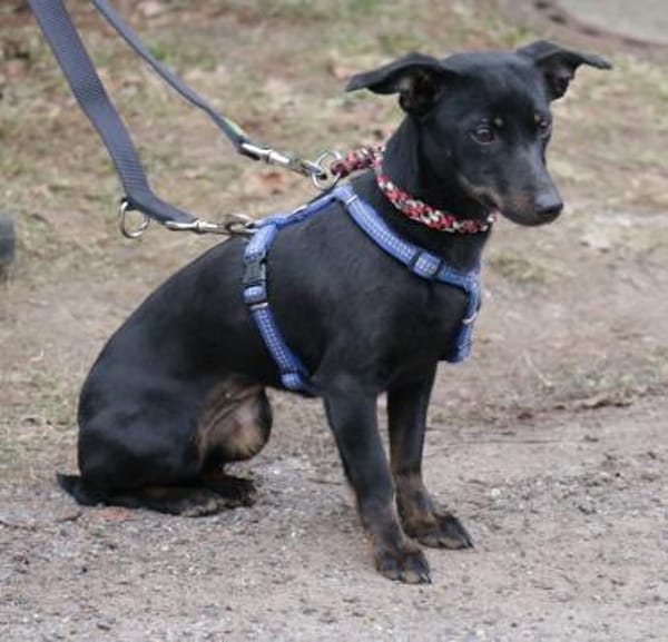 Lilo ist ein kleiner Sonnenschein