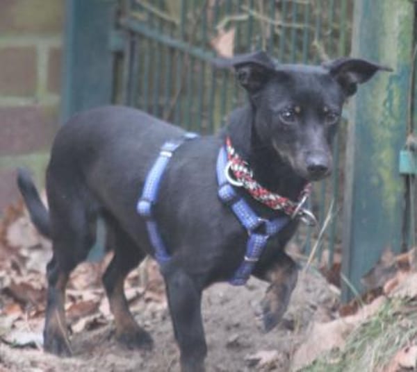 Lilo ist ein kleiner Sonnenschein