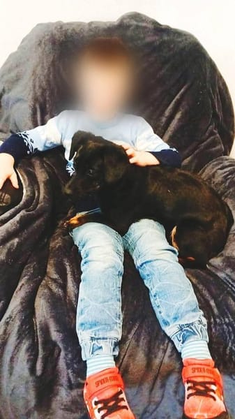 Anfängerhündin Lea❤sucht Familie