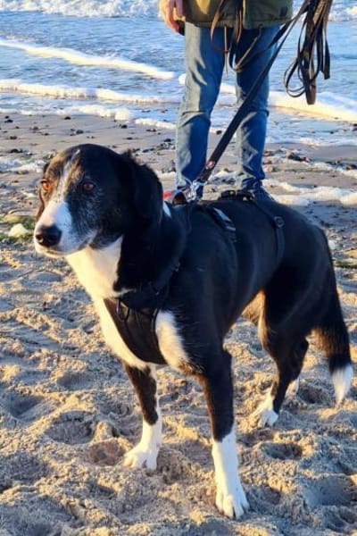 Genießerschnute ♥Mona♥ in 01640 Coswig