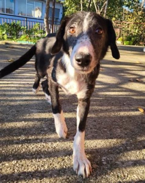 Genießerschnute ♥Mona♥ in 01640 Coswig